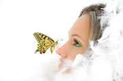 butterfly